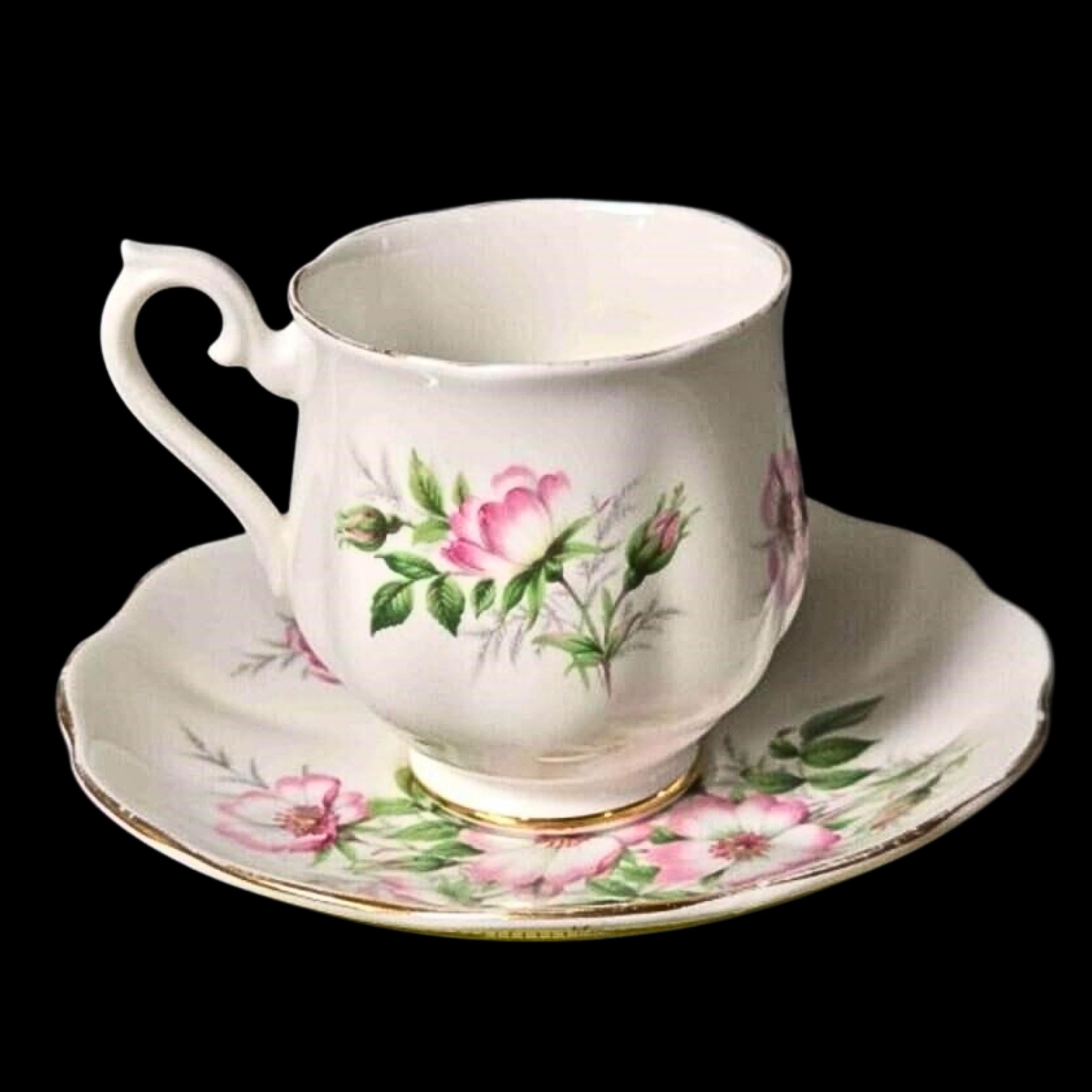 Royal Albert Vintage Teacup Bone China Cup and Saucer: Friendship Pattern - Wild Rose