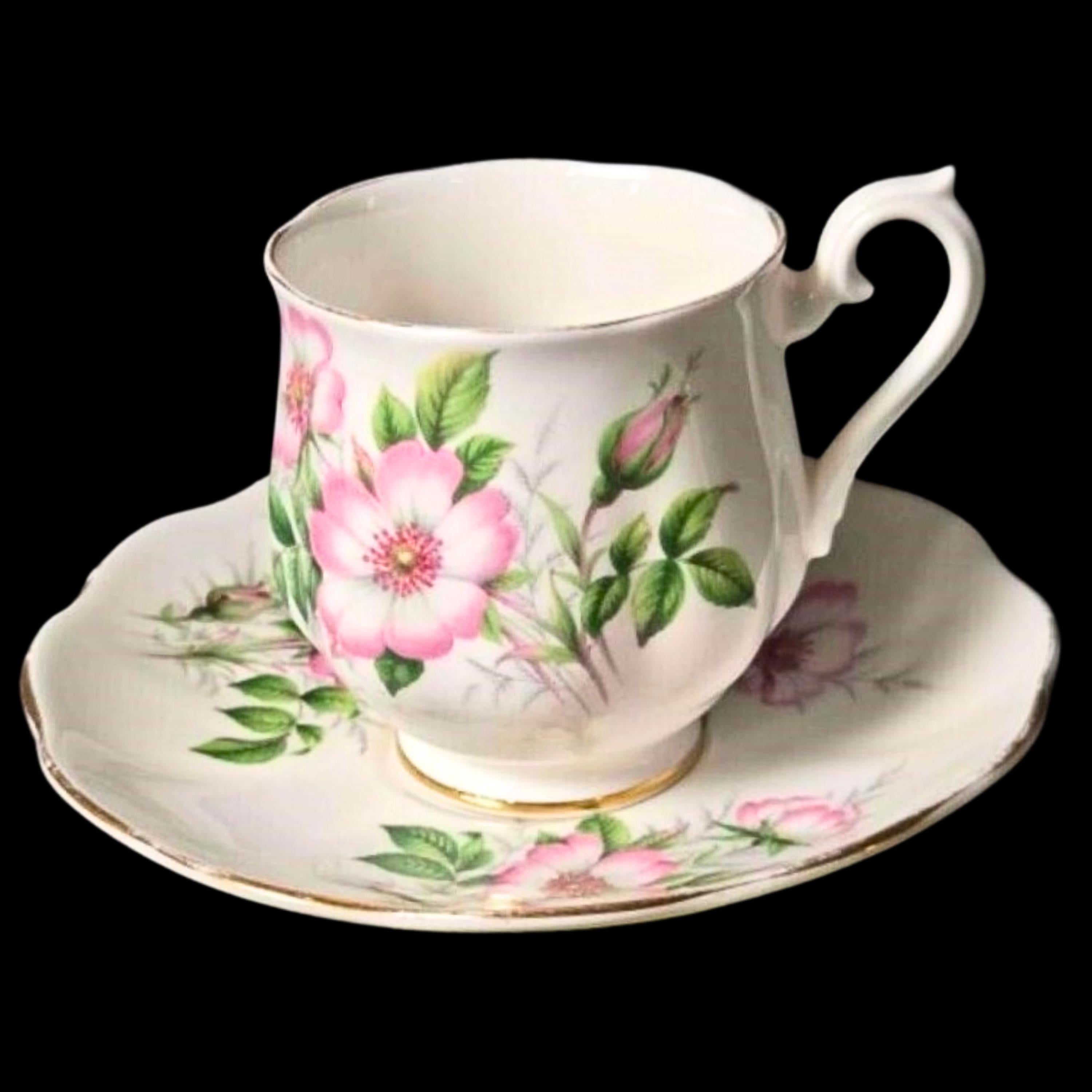 Royal Albert Vintage Teacup Bone China Cup and Saucer: Friendship Pattern - Wild Rose