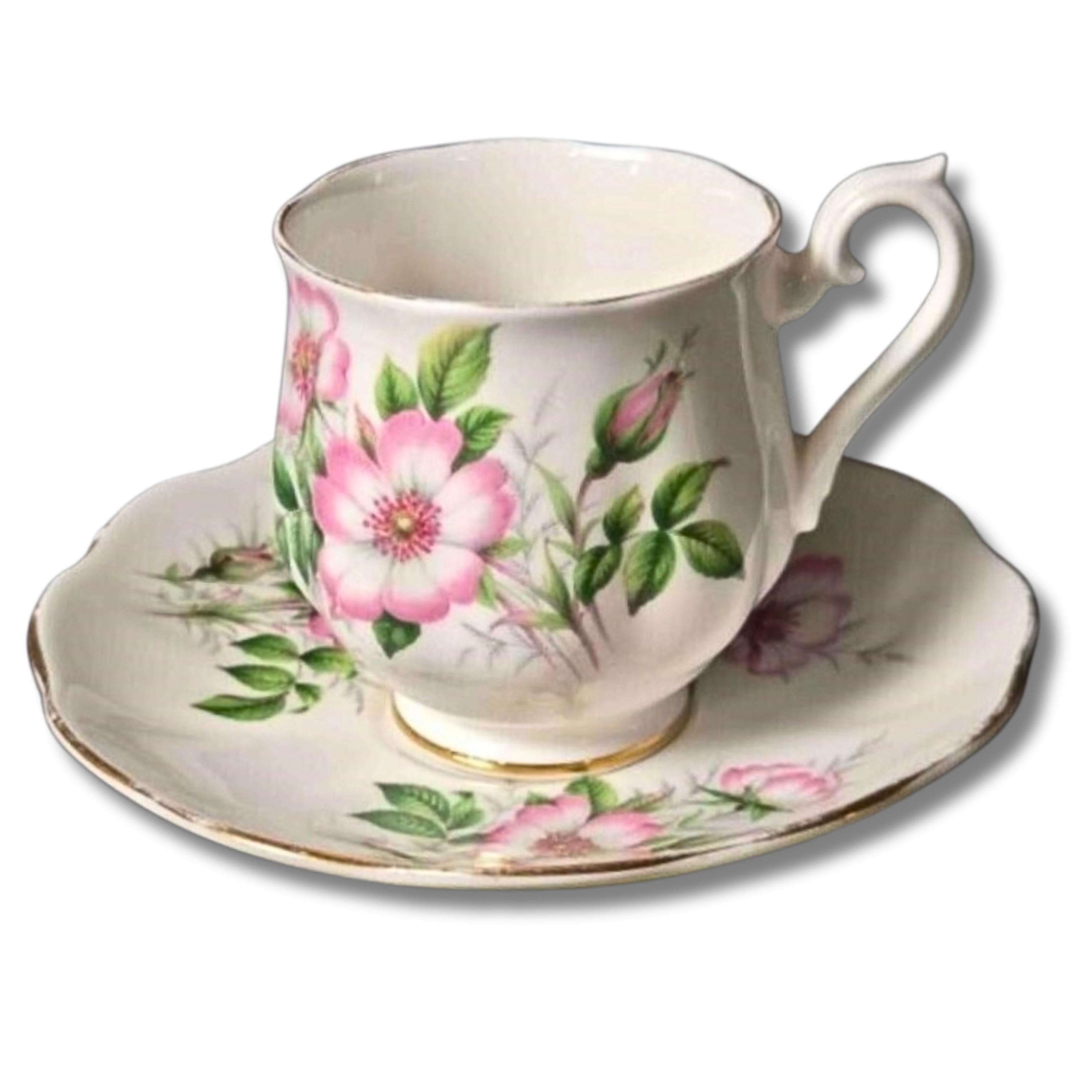 Royal Albert Vintage Teacup Bone China Cup and Saucer: Friendship Pattern - Wild Rose