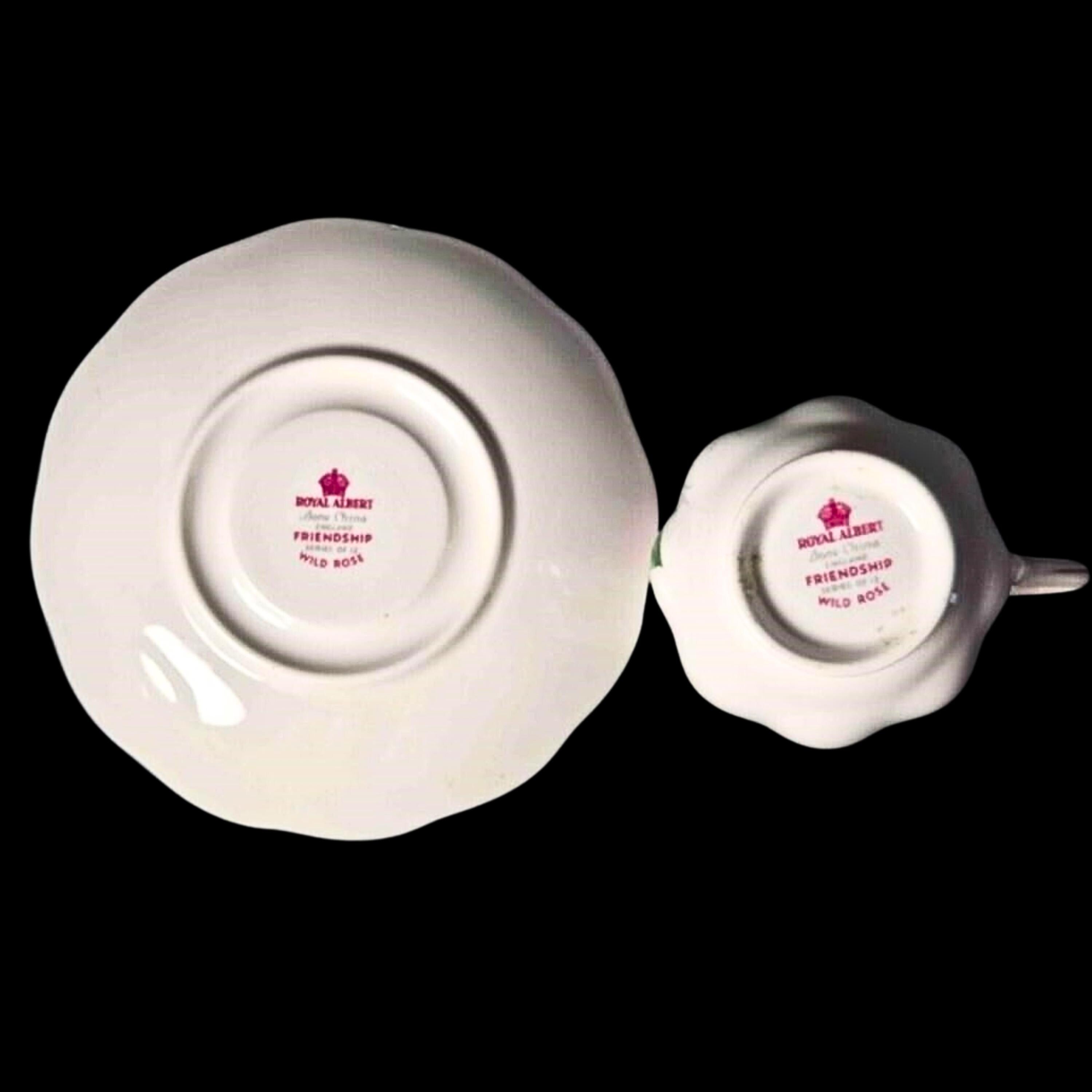 Royal Albert Vintage Teacup Bone China Cup and Saucer: Friendship Pattern - Wild Rose