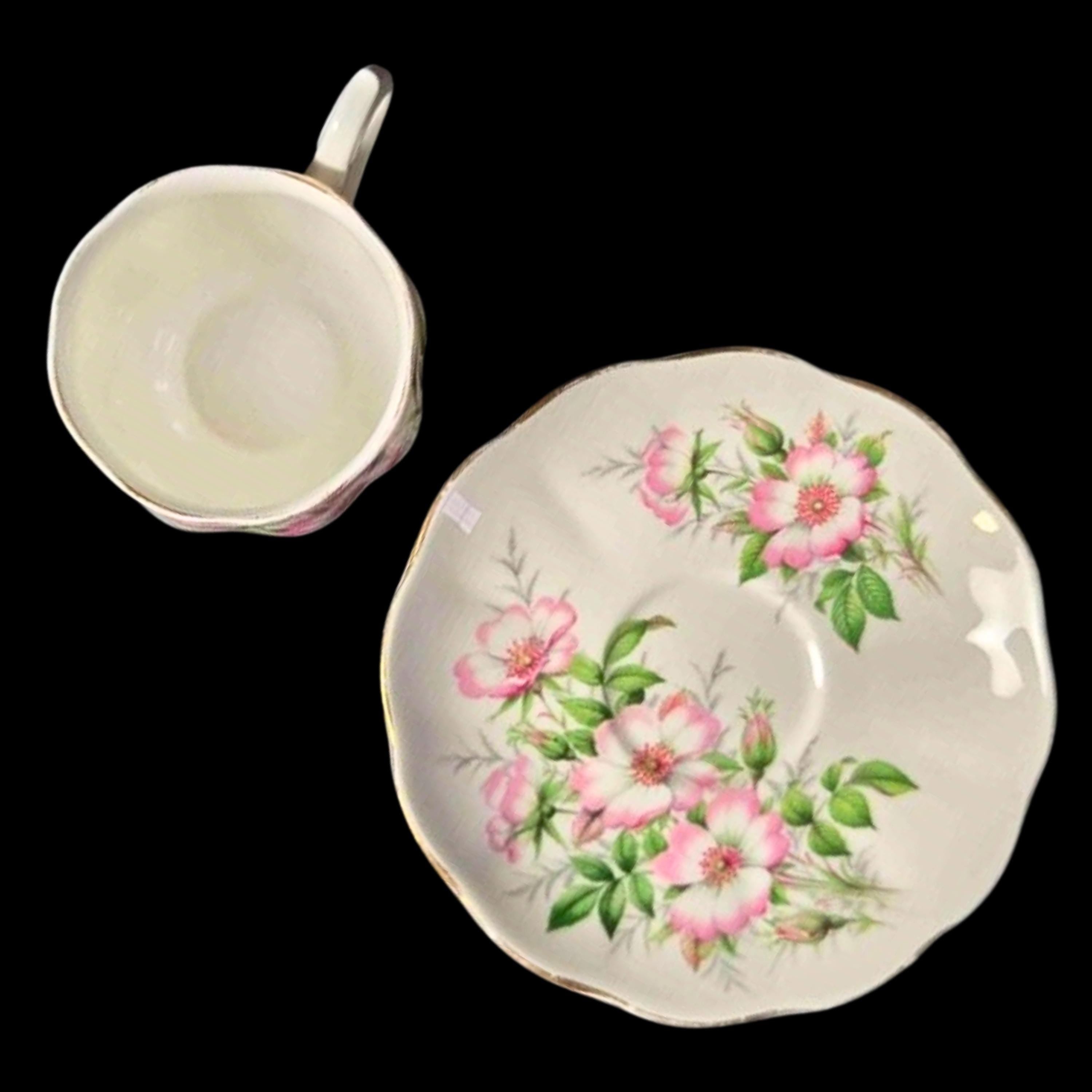 Royal Albert Vintage Teacup Bone China Cup and Saucer: Friendship Pattern - Wild Rose