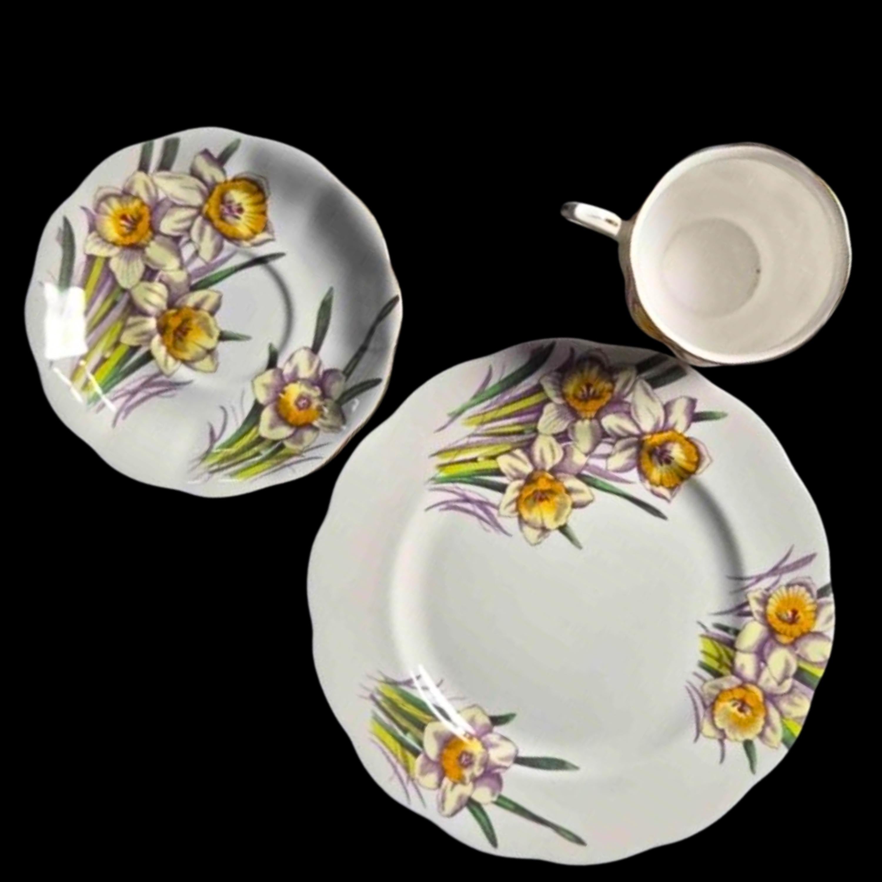 Royal Albert Vintage Teacup Bone China Cup Saucer Plate Set: Daffodil Pattern